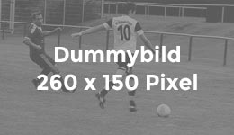 dummybild