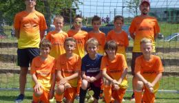 bergh