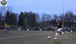 derby 33