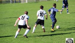 fcgii 081115_035