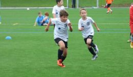f birkenfeld2