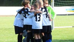 Zweiter Spieltag der F-Jugend in Ellmendingen