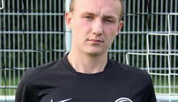 streich hp